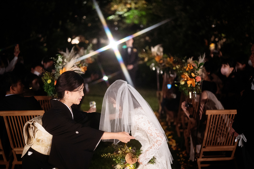 1001蜀・陸讒・(259)