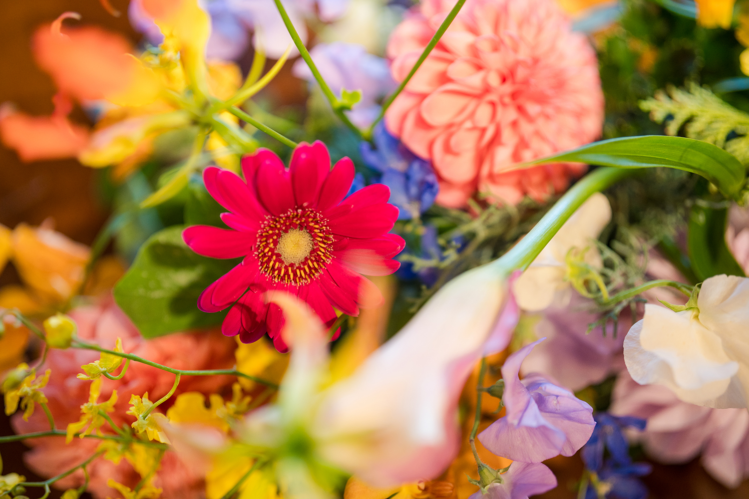 1220佐藤様-5small