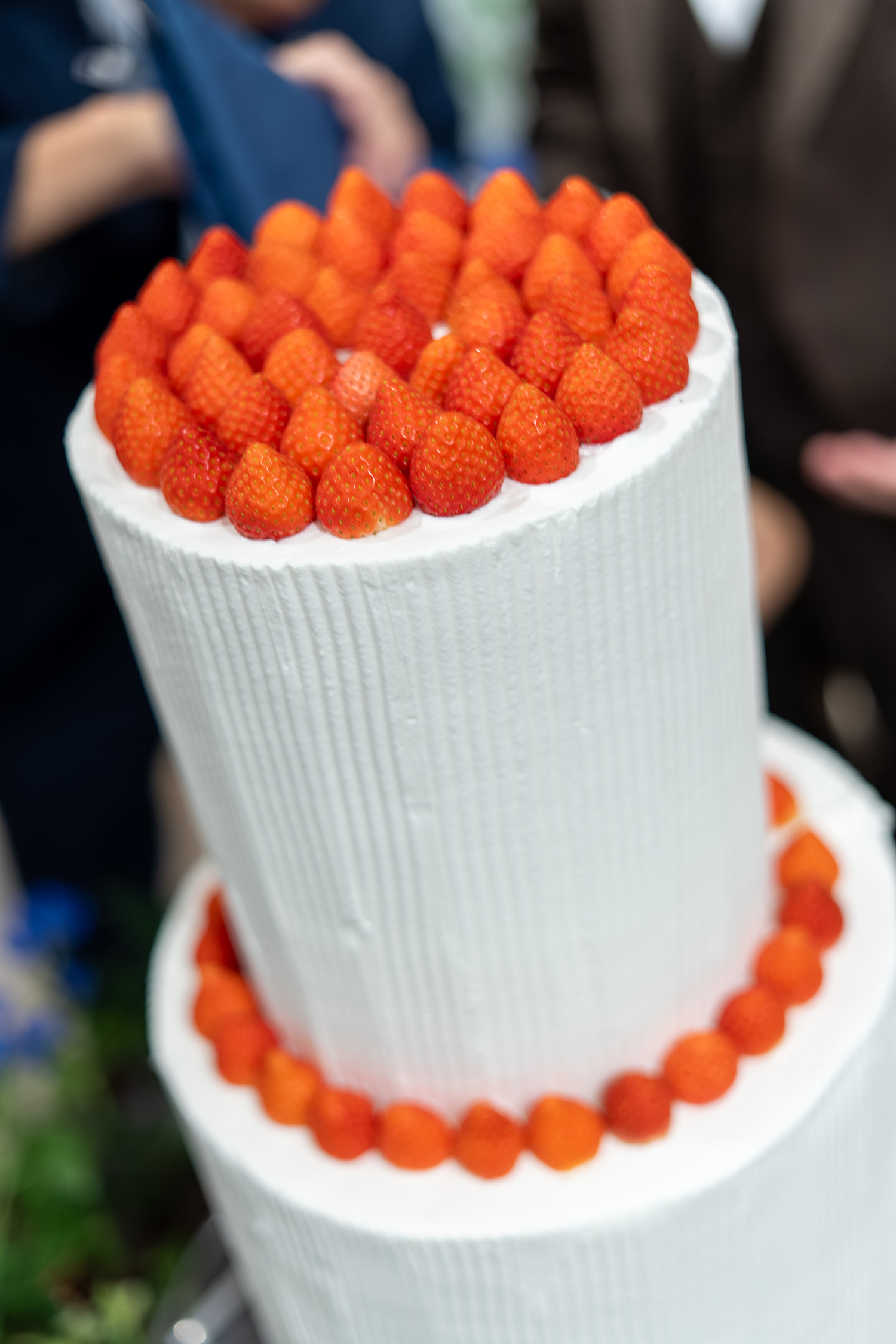 竹内様川中様-304small