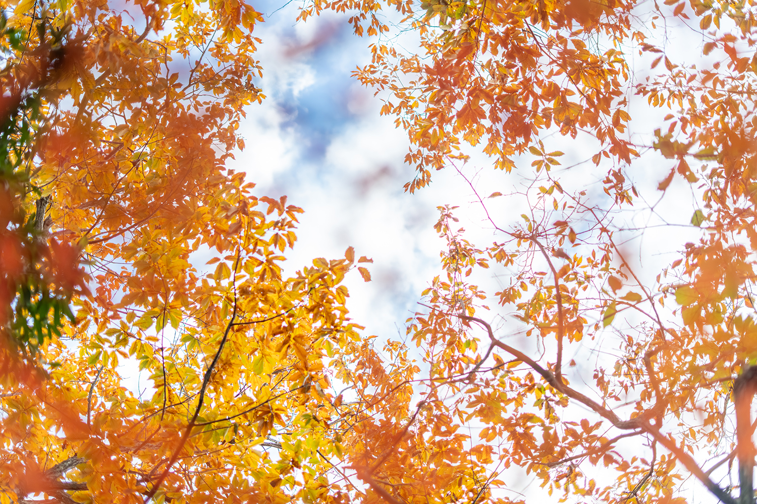 竹内様川中様-31small