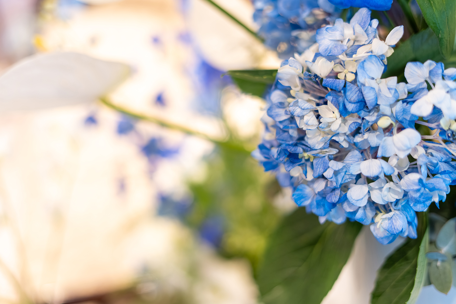 竹内様川中様-34small